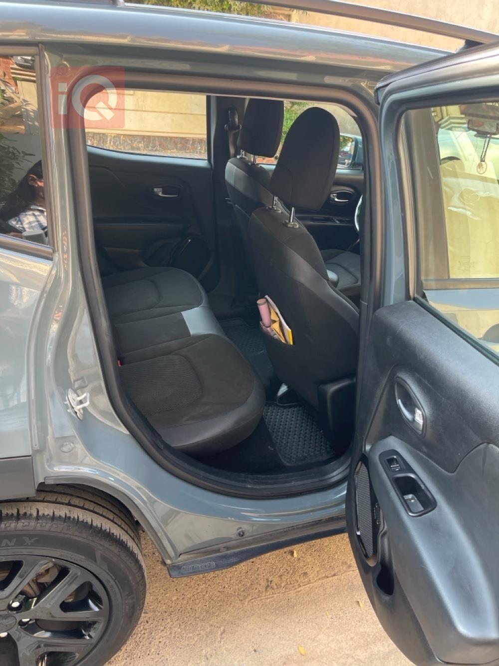 جيب رينيجيد